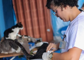 Campanha de Vacinação Antirrábica protege quase 30 mil animais