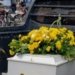 Cão querido por moradores é enterrado sob cortejo fúnebre em Cruz das Almas