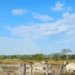 Polícia Federal prende maior suspeito de devastar Amazônia já investigado