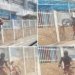 Ladrão invade escola e furta bicicleta de aluna na Pituba