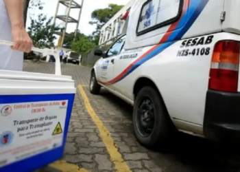 Sesab: quase 3 mil baianos estão na fila de transplantes de órgãos