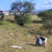 Corpo de homem é encontrado em armário abandonado na BR-116