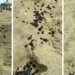 Praia da Barra amanhece com manchas de óleo na areia
