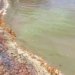 Manchas esverdeadas são encontradas em Barra do Jacuípe