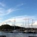 Vereador pede apuração sobre irregularidades no Porto dos Tainheiros
