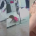 Thais Carla relata susto após porta de vidro quebrar em cima da filha