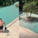Com salário fixo de 600 mil, Rodrigo Faro se nega pagar R$ 400 a piscineiro e revolta a web
