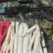 Foragidos do Complexo da Mata Escura morrem durante confronto com a polícia