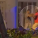 PM atira na cabeça e mata motoboy durante discussão
