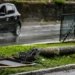 Carro roda em pista e bate em poste em Salvador