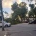 Árvore cai, derruba poste e complica trânsito no Largo do Campo Grande