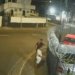 Homens são flagrados incendiando carro no Barbalho