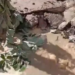 Rompimento de adutora complica trânsito na Av. Suburbana