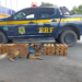 Homem é preso com 100 kg de maconha em ônibus na BR-116