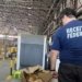 Receita Federal apreende 51 quilos de cocaína no aeroporto do Galeão