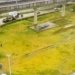Carreta quebra e causa engarrafamento na BR-324