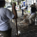 Escavações de cemitério: entenda a importância de ato em Salvador