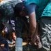 População deve ficar alerta ao aparecimento de animais silvestres e peçonhentos