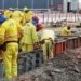 VLT de Salvador vai ganhar seis novas estações até o Comércio; confira