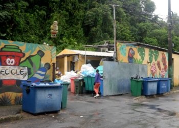 Cooperativas transformam 280 toneladas de materiais recicláveis coletados durante o Carnaval em fonte de renda
