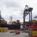 Seis pessoas são condenadas a 12 anos de prisão por enviar toneladas de cocaína do Porto de Salvador para a Europa
