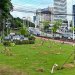 Prefeitura de Salvador inicia plantio de mais de 1 mil mudas de árvores na Avenida ACM