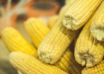 São João aquece feiras de Salvador e impulsiona vendas de produtos típicos