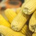 São João aquece feiras de Salvador e impulsiona vendas de produtos típicos